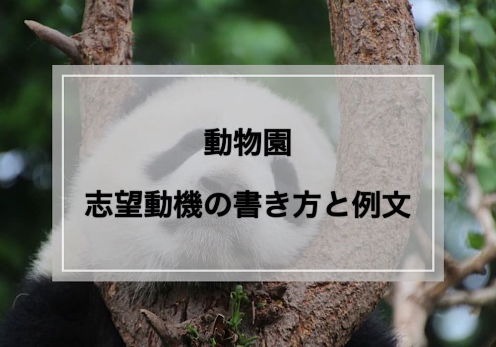 動物園の志望動機の書き方と例文