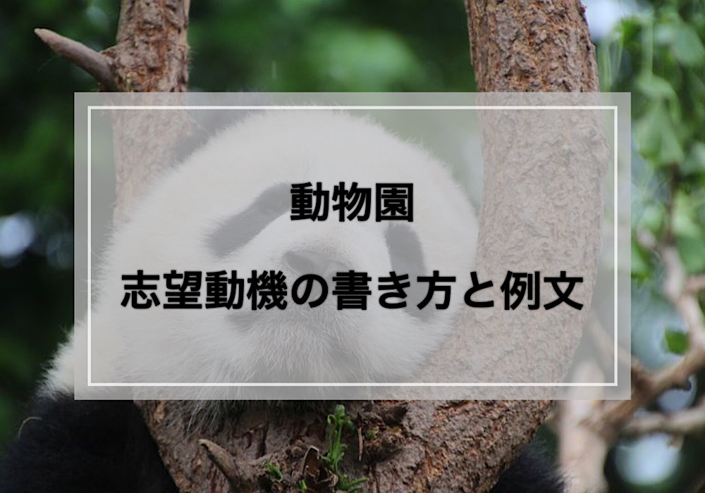 動物園の志望動機の書き方と例文 就職エージェントneo