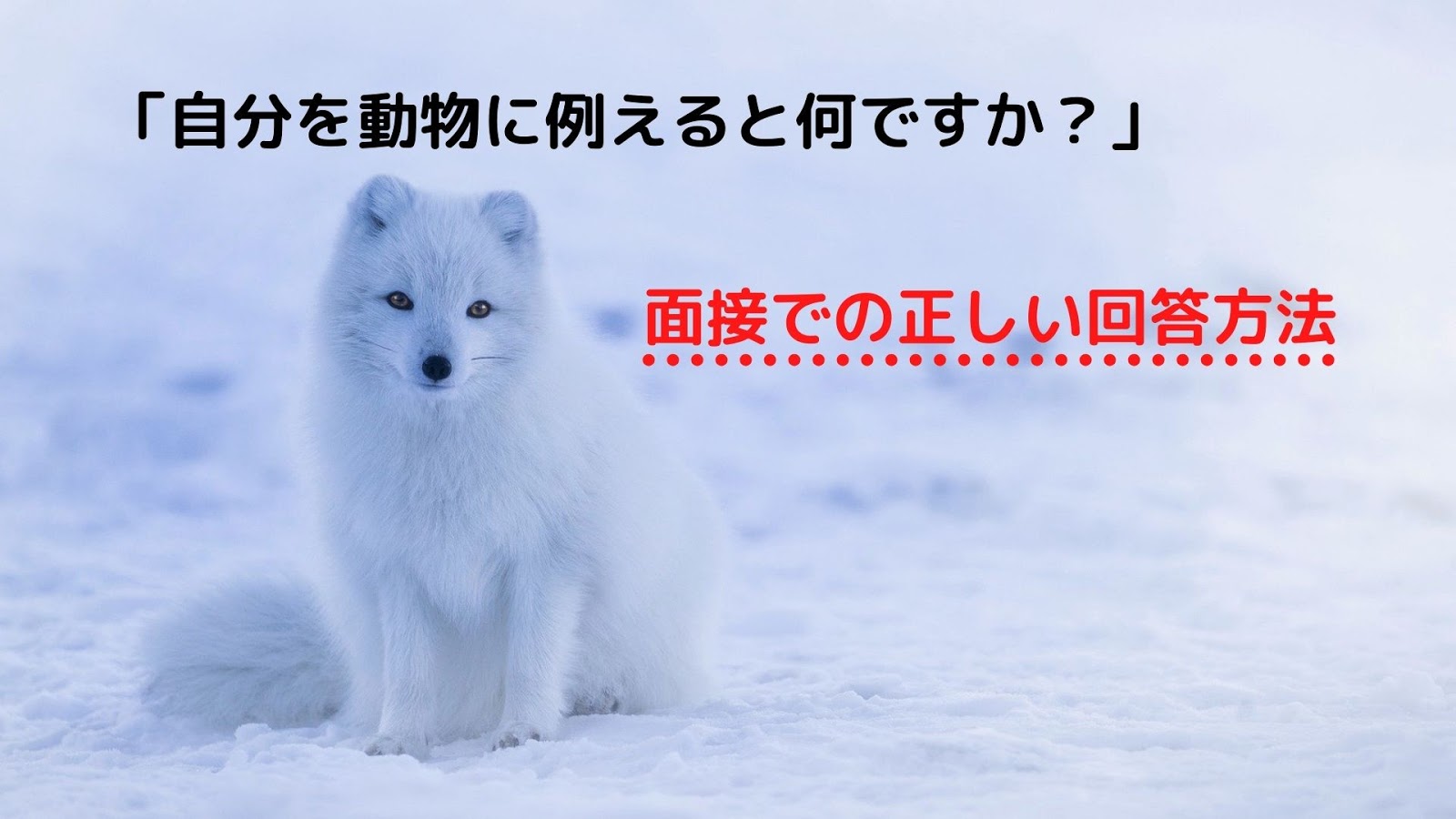 面接で 動物に例えると と質問された時の正しい答え方 回答例10個紹介 就職エージェントneo