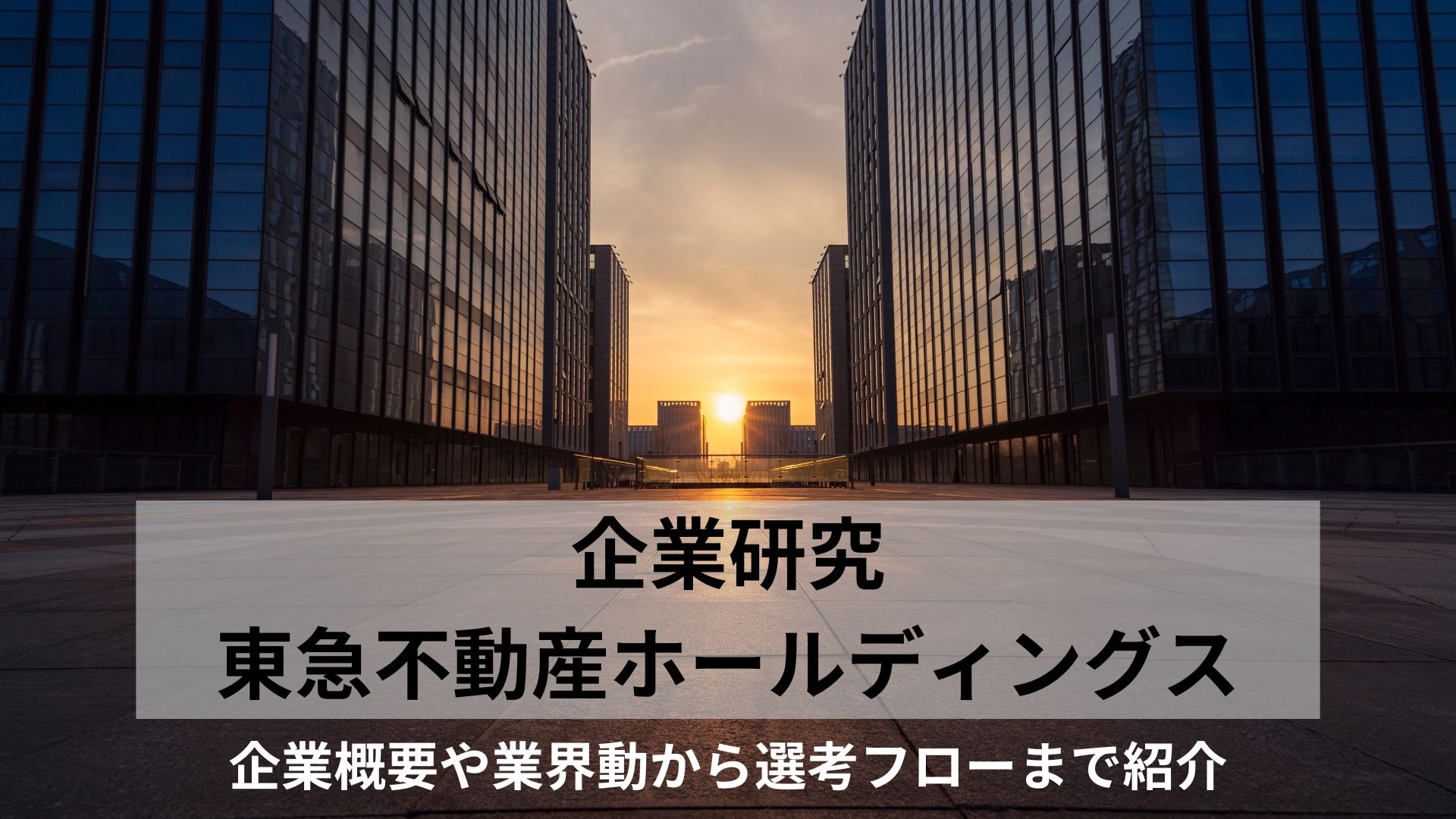 企業研究東急不動産ホールディングス