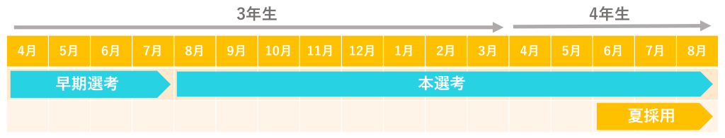 就活_夏採用のスケジュール